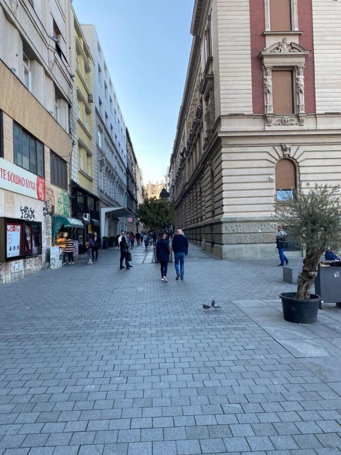Cika Ljuba Appartamento *